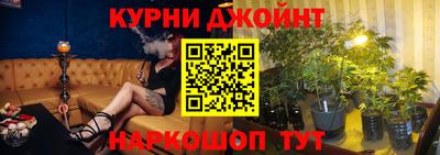 a pvp Гатчина