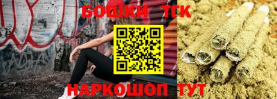 a pvp Гатчина
