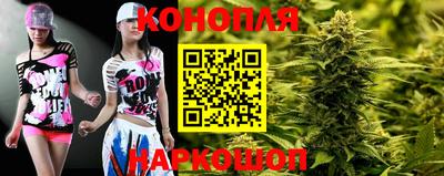прущий лед Гай
